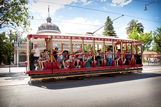 Bendigo Tramways Vintage Talking Tram Tour